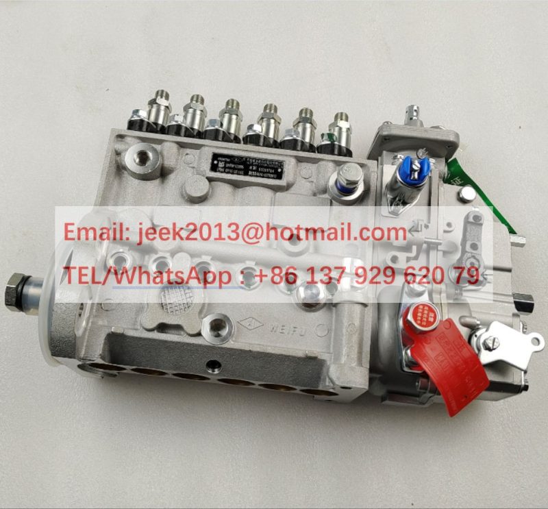 SP138808 FUEL INJECTION PUMP FOR LIUGONG MOTOR GRADER WHEEL LOADER