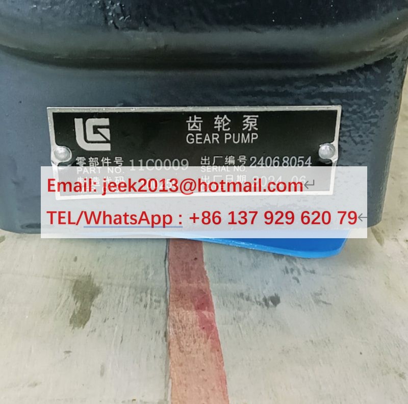 11C0009 GEAR PUMP FOR LIUGONG WHEEL LOADER 11C0009P01 11C0009P02