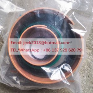 SP151741 BOOM CYLINDER SEAL KIT FOR LIUGONG CLG835H WHEEL LOADER