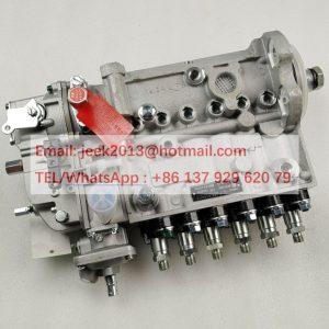 SP138808 FUEL INJECTION PUMP FOR LIUGONG MOTOR GRADER WHEEL LOADER