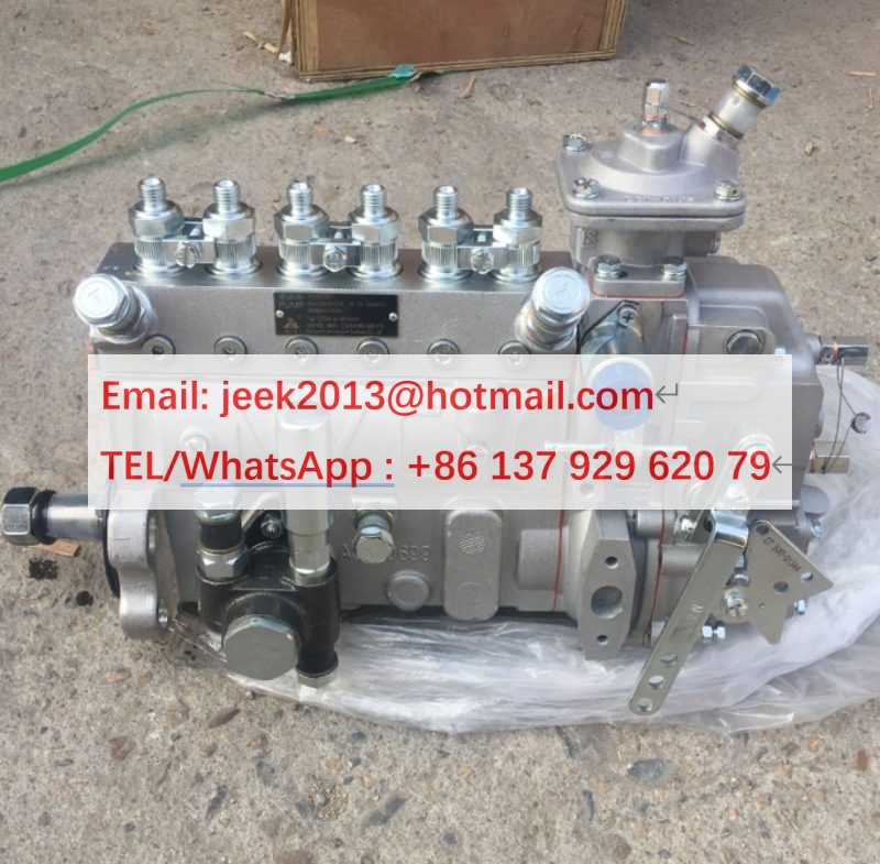 SP126330 FUEL INJECTION PUMP FOR LIUGONG CLG835 CLG836 WHEEL LOADER